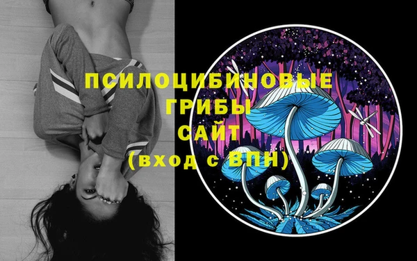 гашик Богородицк