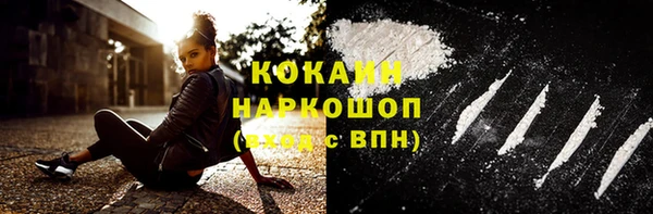 крисы Белокуриха